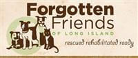 forgotten friends
